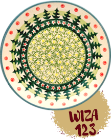 wiza123