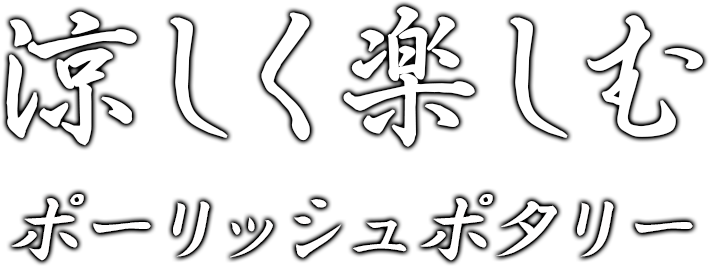 タイトル